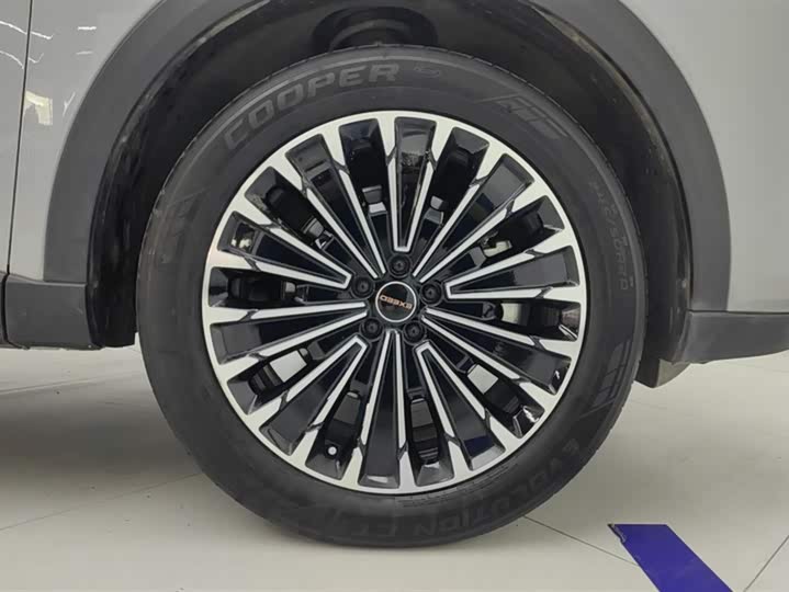 Exeed RX C-DM Hybrid 2024 2024款 1.5T 长续航Pro