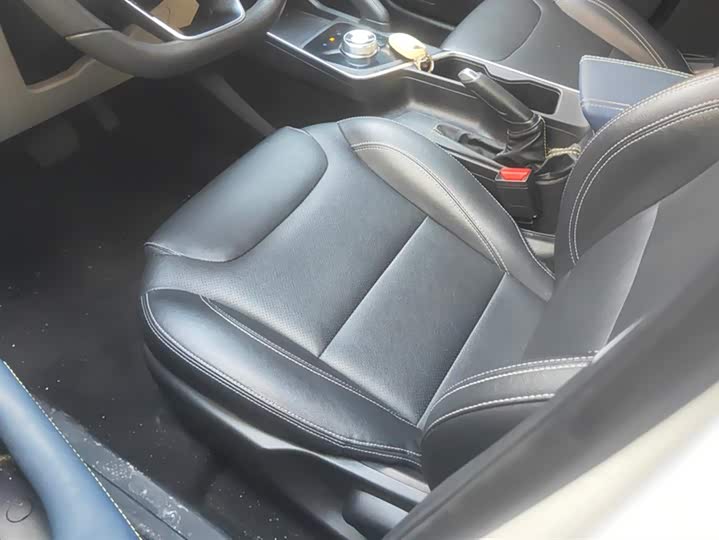 Geely Geometry EX3 2021 2021款 坚强牛牛