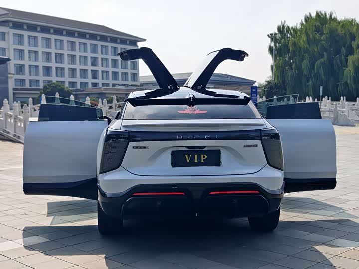 HiPhi X 2022 2022款 智远版6座 长续航版