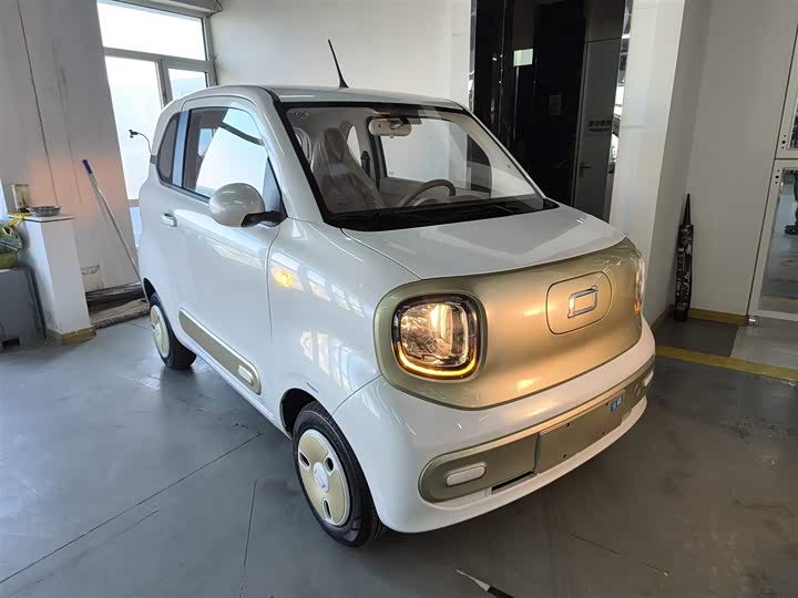 Bestune Pony 2026 2026款 222km 炫彩马