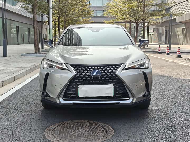 2020 Lexus UX Hybrid