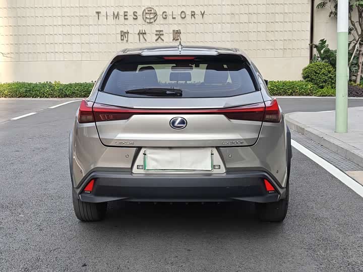 2020 Lexus UX Hybrid