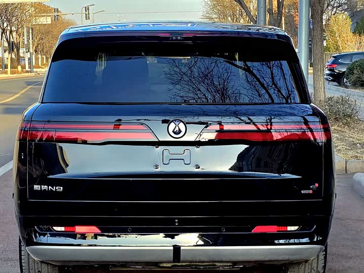 Denza N9 2025 2025款 旗舰型