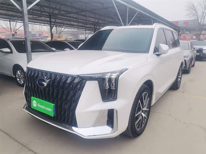 GAC Trumpchi GS8 2024 2024款 双擎系列 2.0TM 两驱尊贵版