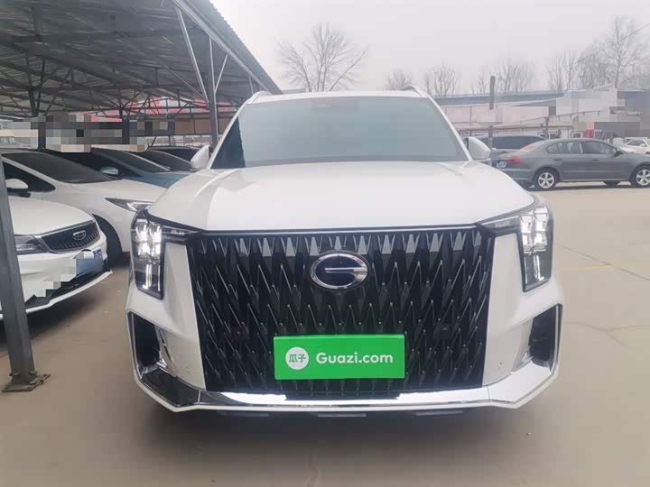 GAC Trumpchi GS8 2024 2024款 双擎系列 2.0TM 两驱尊贵版