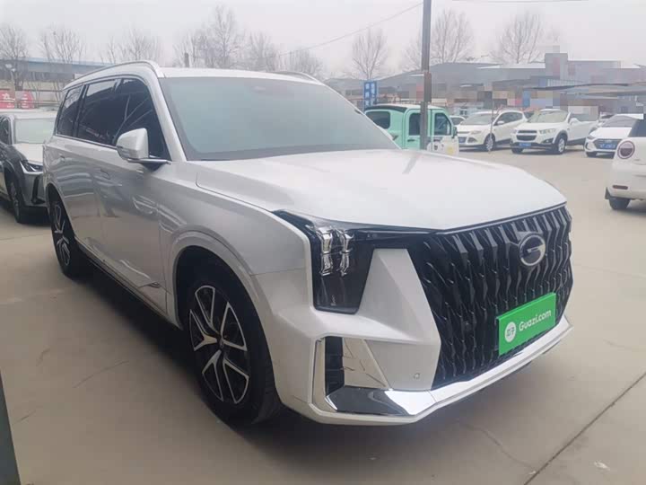 GAC Trumpchi GS8 2024 2024款 双擎系列 2.0TM 两驱尊贵版