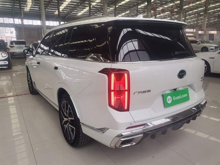 GAC Trumpchi GS8 2024 2024款 双擎系列 2.0TM 两驱尊贵版