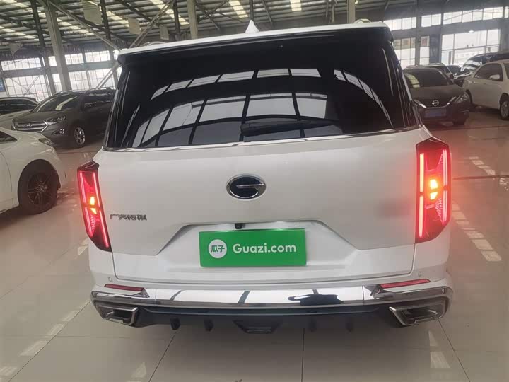 GAC Trumpchi GS8 2024 2024款 双擎系列 2.0TM 两驱尊贵版