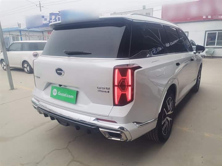 GAC Trumpchi GS8 2024 2024款 双擎系列 2.0TM 两驱尊贵版