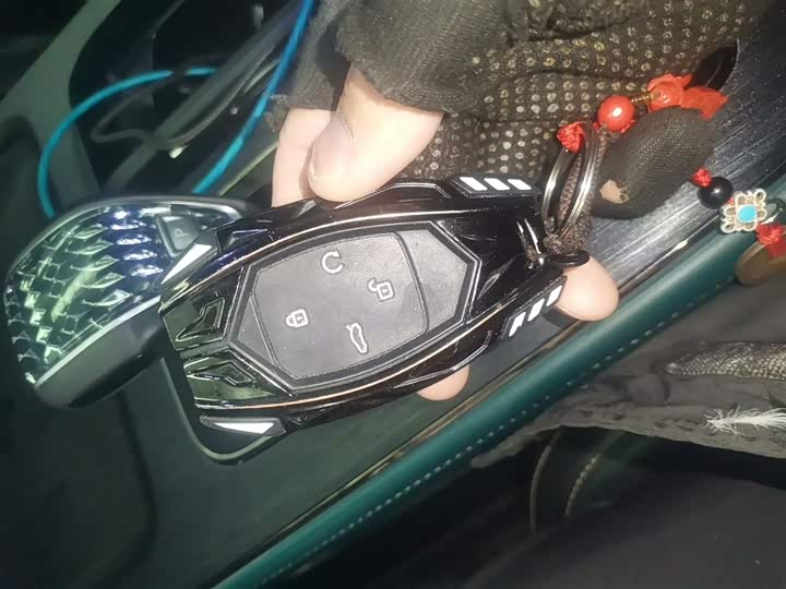 GAC Trumpchi GS8 2024 2024款 双擎系列 2.0TM 两驱尊贵版