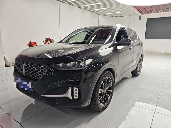 Wey VV6 2021 2021款 2.0T 两驱智护+