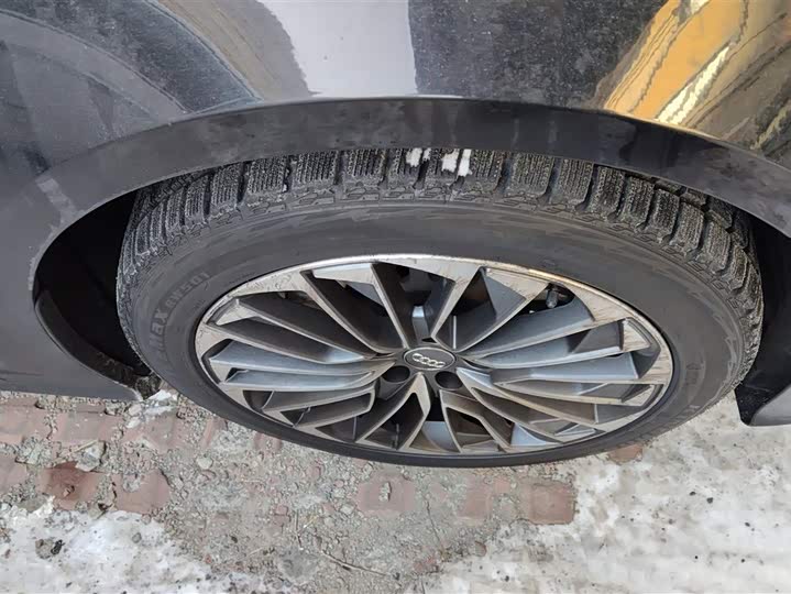 Audi A6L Hybrid 2020 2020款 55 TFSI e quattro