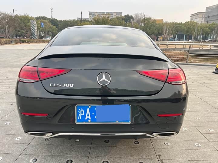 Mercedes-Benz CLS-Class 2023 2023款 改款 CLS 300 豪华型