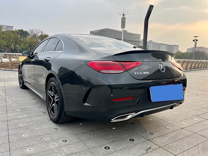 Mercedes-Benz CLS-Class 2023 2023款 改款 CLS 300 豪华型