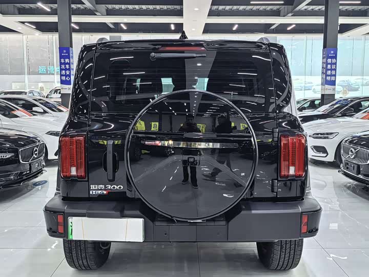 Tank 300 Hybrid 2025 2025款 Hi4-T 37.1kWh