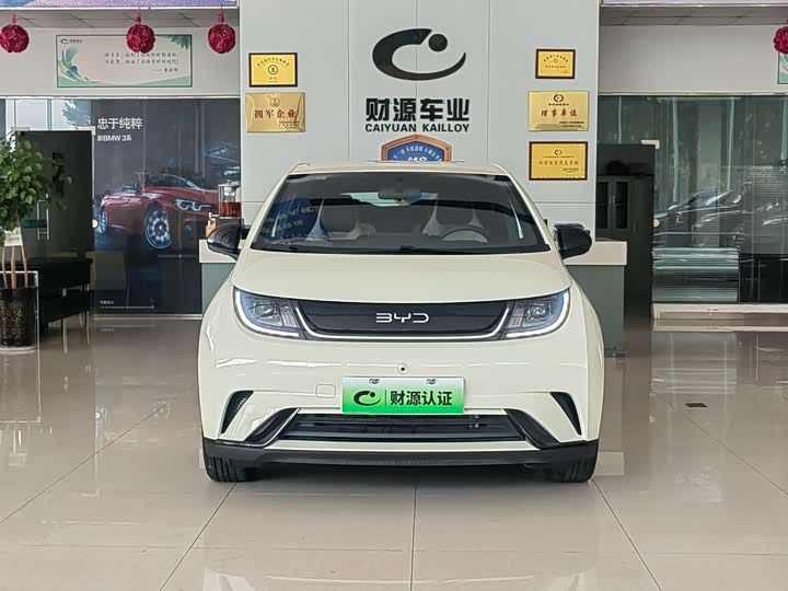 BYD Dolphin 2025 2025款 420km 自由版