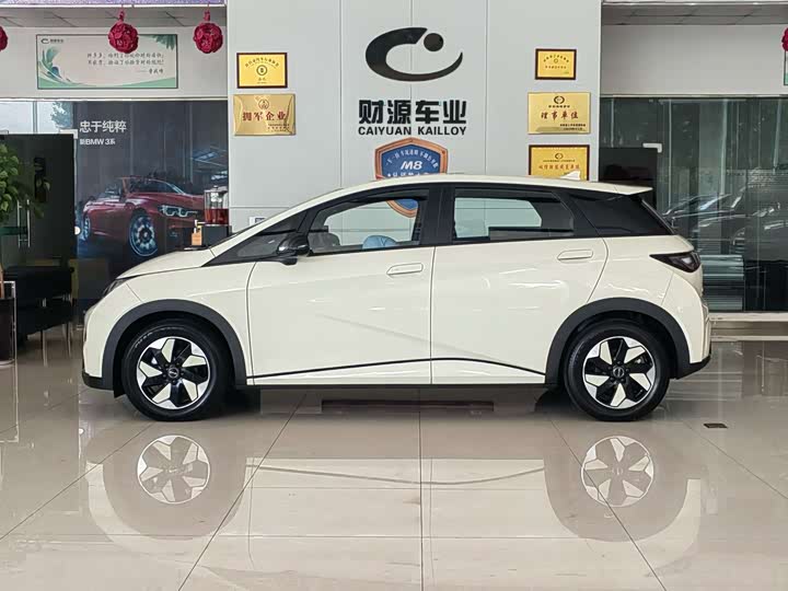 BYD Dolphin 2025 2025款 420km 自由版