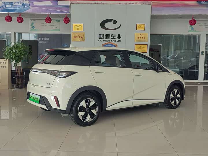 BYD Dolphin 2025 2025款 420km 自由版
