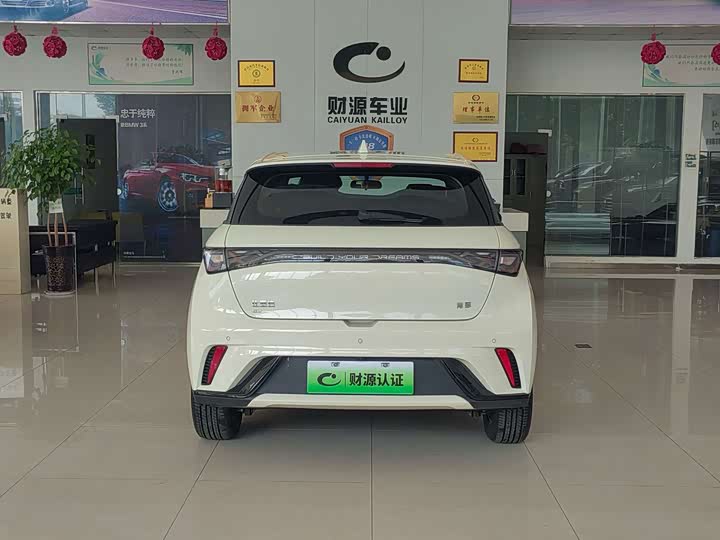 BYD Dolphin 2025 2025款 420km 自由版