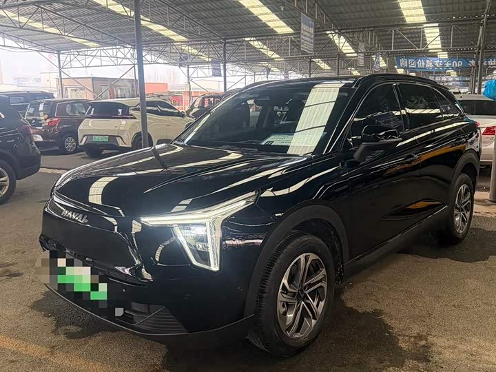 Haval Ruge 2023 2023款 1.5L 110KM领航版