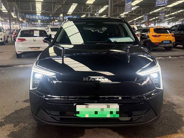 Haval Ruge 2023 2023款 1.5L 110KM领航版