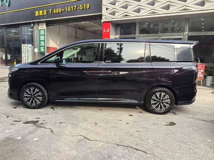 Hongqi HQ9 Hybrid 2024 2024款 2.0T 四驱豪华版