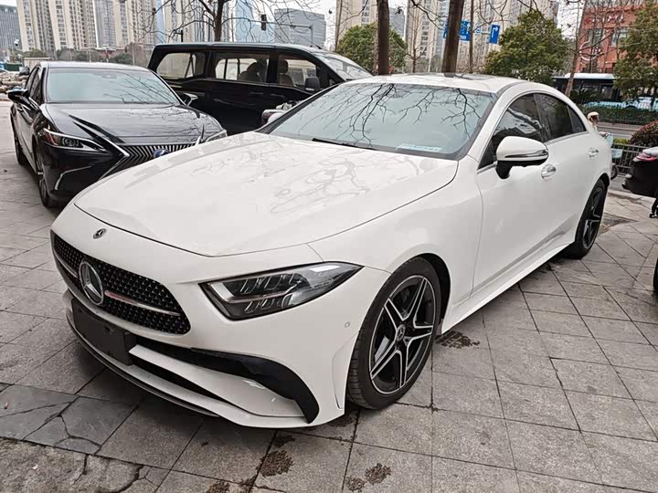Mercedes-Benz CLS-Class 2023 2023款 CLS 300 豪华型