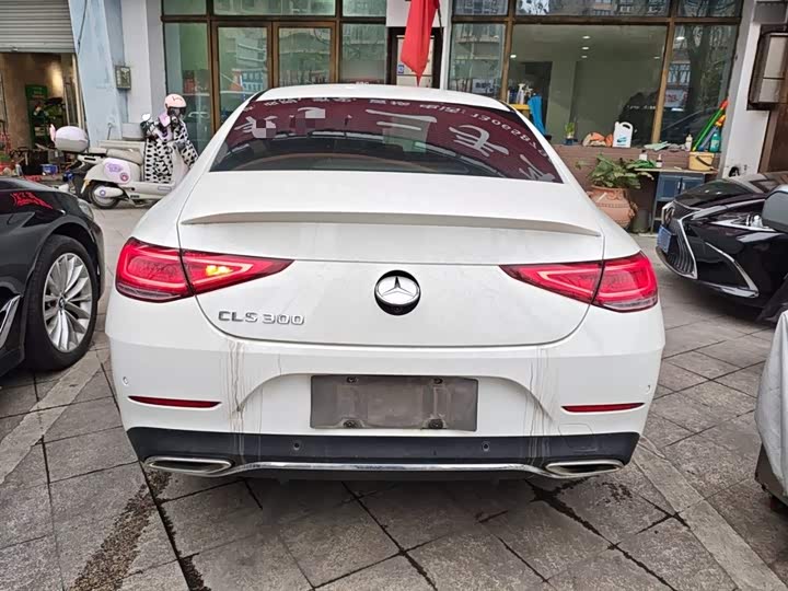 Mercedes-Benz CLS-Class 2023 2023款 CLS 300 豪华型