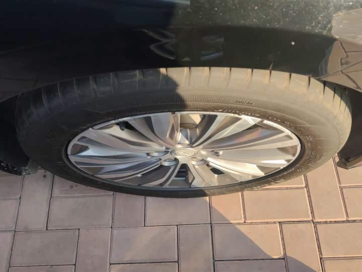 Hongqi E-QM5 2024 2024款 610km PLUS