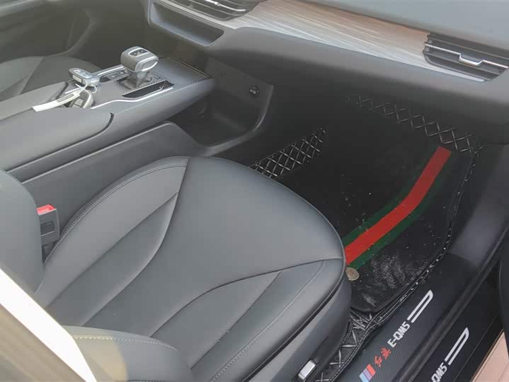 Hongqi E-QM5 2024 2024款 610km PLUS