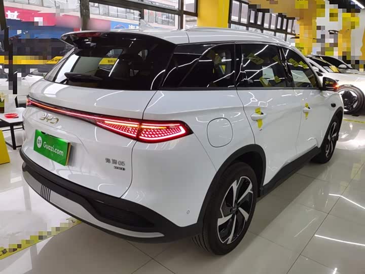 BYD Sea Lion 05 DM-i Hybrid 2025 2025款 DM-i 智驾版 115KM旗舰型