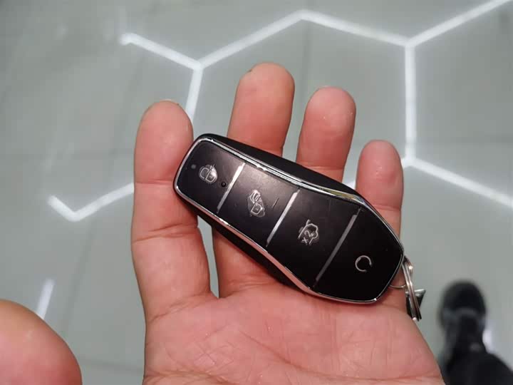 BYD Sea Lion 05 DM-i Hybrid 2025 2025款 DM-i 智驾版 115KM旗舰型