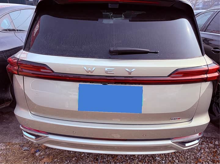 Wey Lanshan 2025 2025款 四驱智驾 Ultra