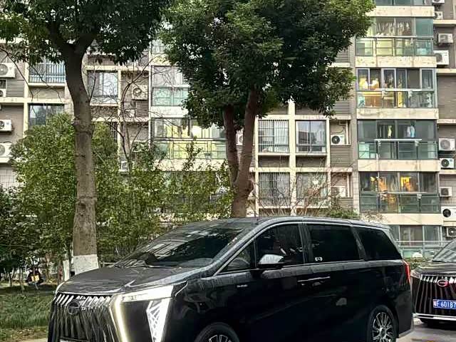 GAC Trumpchi E9 2024 2024款 E9 贺岁版