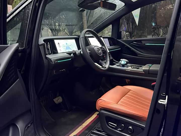 GAC Trumpchi E9 2024 2024款 E9 贺岁版