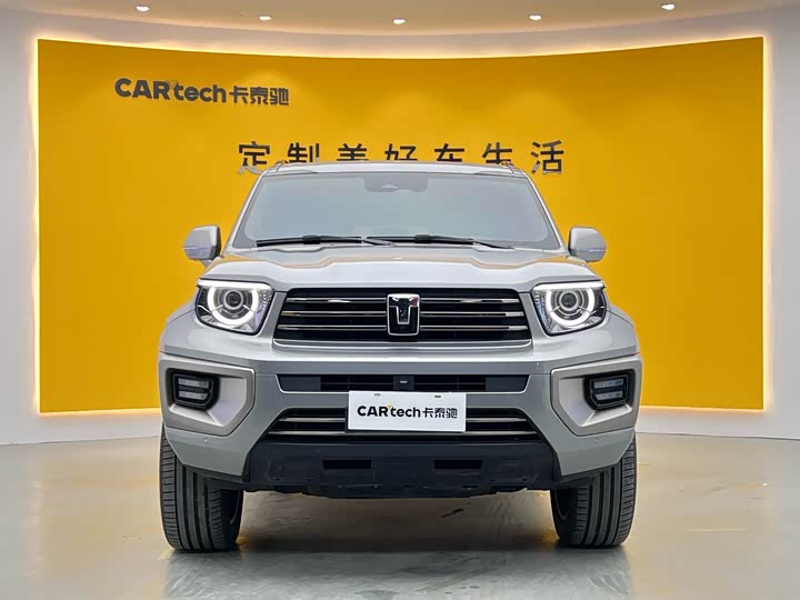 Tank 700 Hybrid 2024 2024款 Hi4-T 极境版