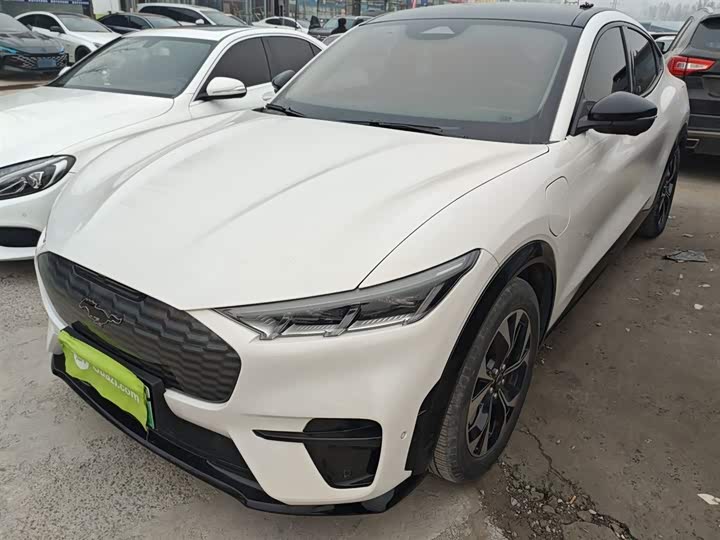 Ford Mustang Mach-E 2021 2021款 无疆后驱豪华版(长续航)