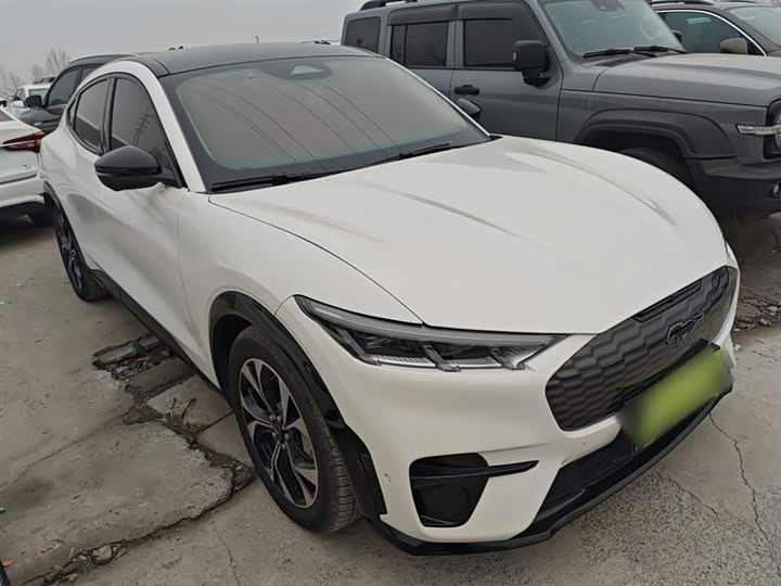 Ford Mustang Mach-E 2021 2021款 无疆后驱豪华版(长续航)