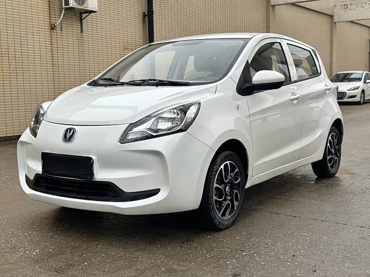 Changan BenBen E-Star 2022 2022款 国民版 多彩限量款（快充版）磷酸铁锂