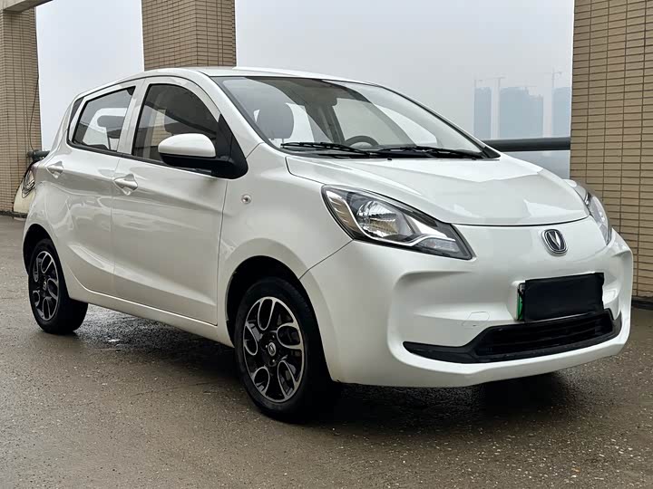 Changan BenBen E-Star 2022 2022款 国民版 多彩限量款（快充版）磷酸铁锂