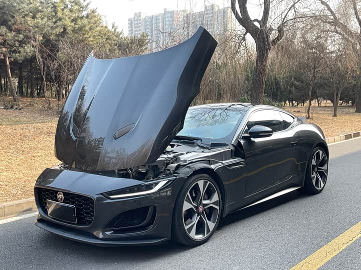 Jaguar F-Type 2021 2021款 P300 后驱First Edition硬顶版