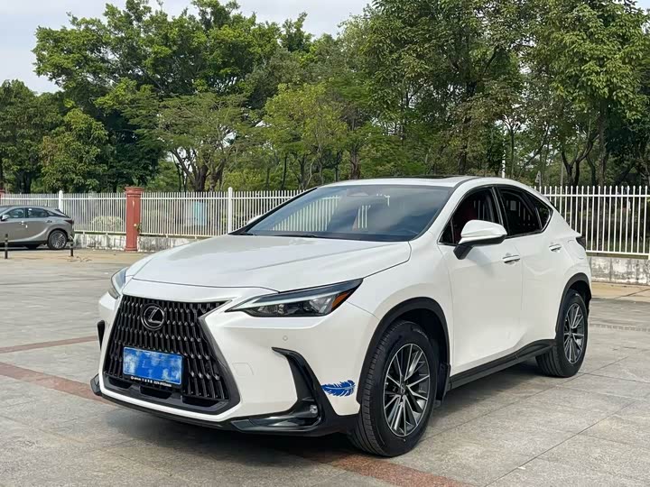 Lexus NX 2023 2023款 260 前驱 创悦版