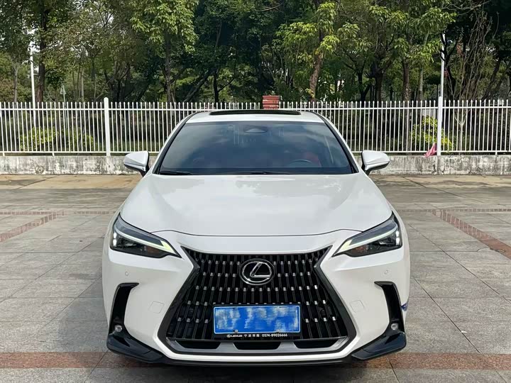 Lexus NX 2023 2023款 260 前驱 创悦版