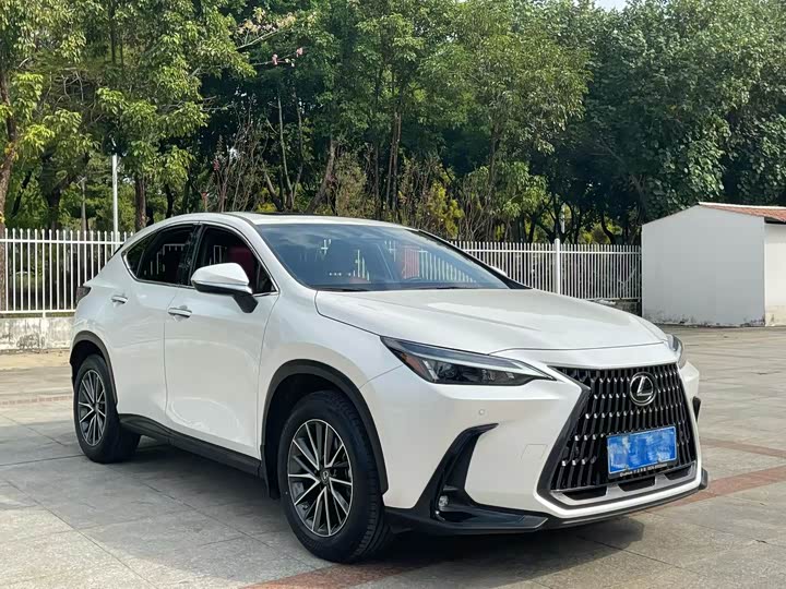 Lexus NX 2023 2023款 260 前驱 创悦版