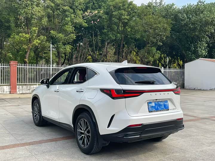 Lexus NX 2023 2023款 260 前驱 创悦版