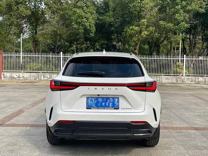 Lexus NX 2023 2023款 260 前驱 创悦版