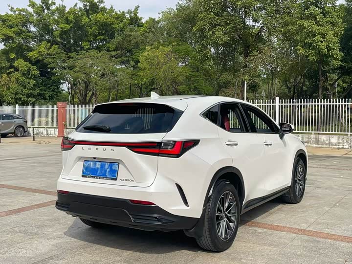 Lexus NX 2023 2023款 260 前驱 创悦版