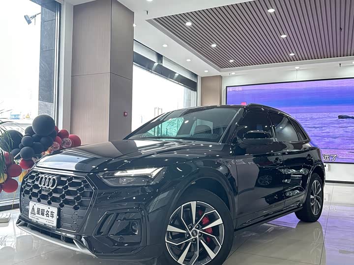 Audi Q5L 2025 2025款 45周年典藏版 40 TFSI 豪华动感型