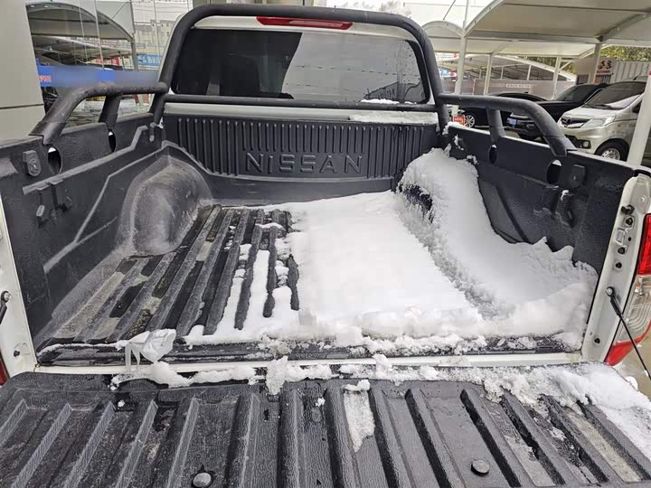 Dongfeng Rich 6 2023 2023款 改款 2.4L 手动两驱汽油标准型