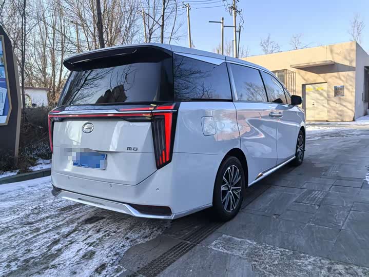 2024 GAC Trumpchi M8